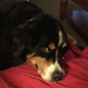 Meet your Posher, Kat